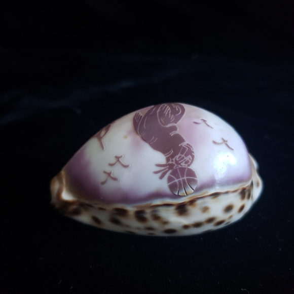 #Handcraved Cowrie Shell Souvenir Crescent City CA Sea Scene - Picture 4 of 7